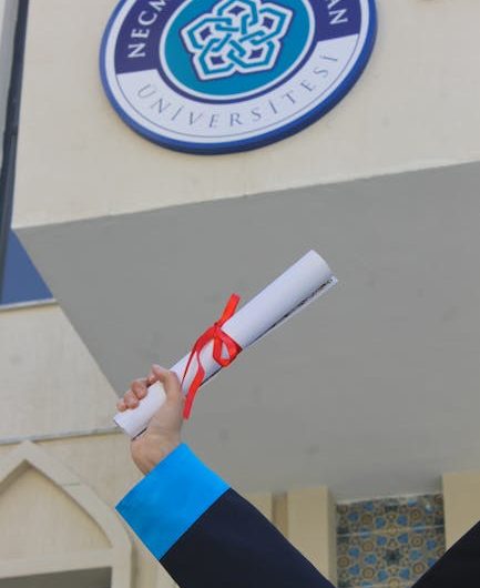 Купить диплом дизайнера в Болотном