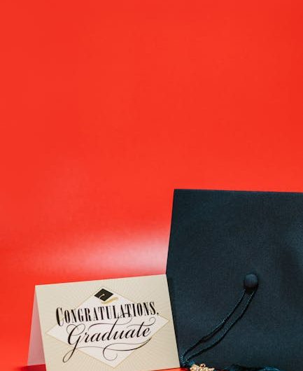 Диплом с занесением в реестр выгодная цена